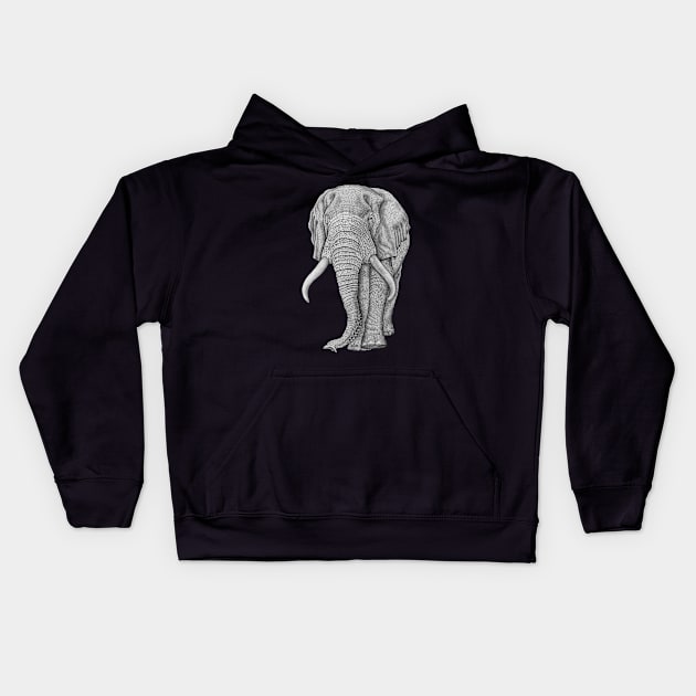 African elephant Kids Hoodie by Tim Jeffs Art